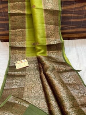 Banarasi Organza Sarees Online